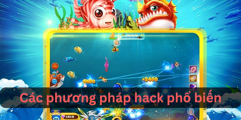Hack Game Bắn Cá: Những Điều Bạn Cần Biết Trước Khi Sử Dụng - hình ảnh - hbauduxdph.top